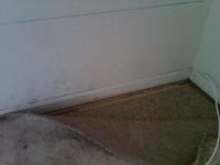 Mold Removal Maryland image 9